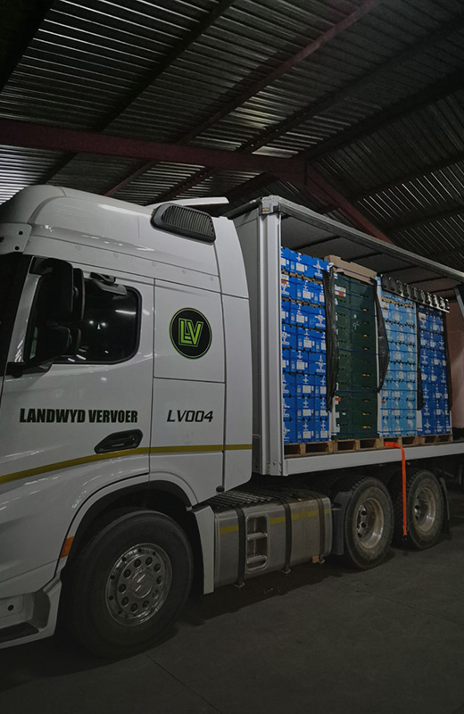 Consolidated Freight Loads 