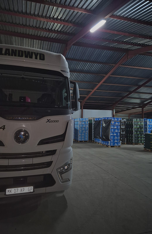 Warehousing & Material Handling 